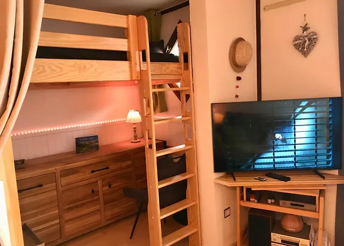 Appartement, Cosy, Balcon, Plein Sud Apartamento